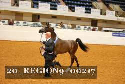 20_REGION9_00217 thumbnail