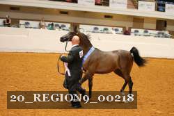 20_REGION9_00218 thumbnail