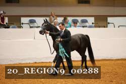 20_REGION9_00288 thumbnail