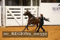 20_REGION9_00332 thumbnail
