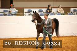 20_REGION9_00334 thumbnail