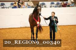 20_REGION9_00340 thumbnail