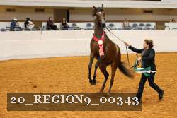 20_REGION9_00343 thumbnail