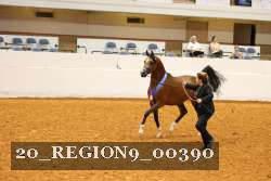 20_REGION9_00390 thumbnail