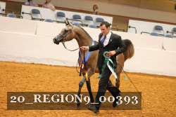 20_REGION9_00393 thumbnail