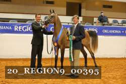 20_REGION9_00395 thumbnail