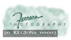 20_REGION9_00003 thumbnail
