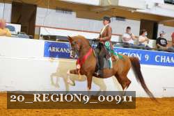 20_REGION9_00911 thumbnail