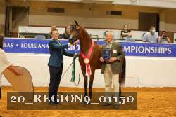 20_REGION9_01150 thumbnail