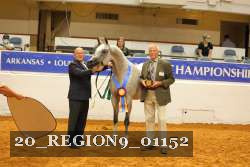 20_REGION9_01152 thumbnail