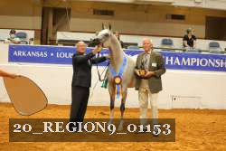 20_REGION9_01153 thumbnail