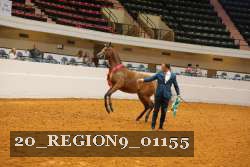 20_REGION9_01155 thumbnail