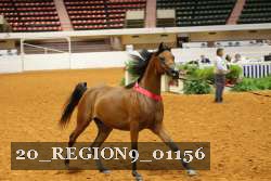 20_REGION9_01156 thumbnail