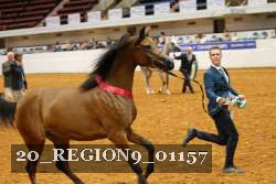 20_REGION9_01157 thumbnail