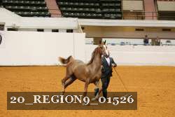 20_REGION9_01526 thumbnail