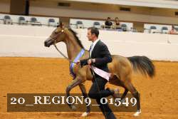 20_REGION9_01549 thumbnail