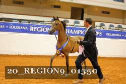 20_REGION9_01550 thumbnail