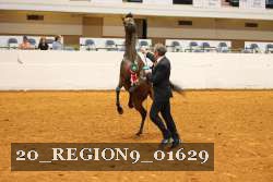 20_REGION9_01629 thumbnail