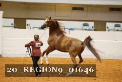 20_REGION9_01646 thumbnail