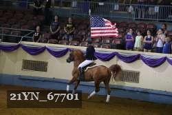 21YN_67701 thumbnail