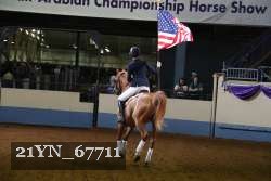 21YN_67711 thumbnail