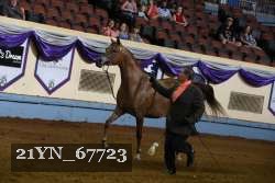 21YN_67723 thumbnail