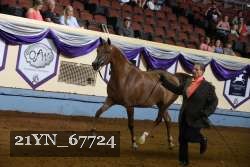 21YN_67724 thumbnail