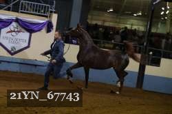 21YN_67743 thumbnail