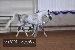 21YN_27767 thumbnail