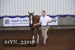 21YN_33218 thumbnail