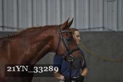 21YN_33289 thumbnail