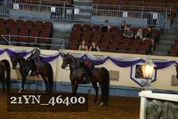 21YN_46400 thumbnail