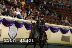 21YN_46401 thumbnail