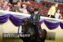 21YN_46402 thumbnail