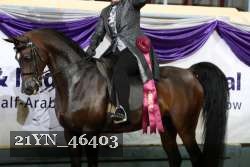 21YN_46403 thumbnail