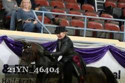21YN_46404 thumbnail