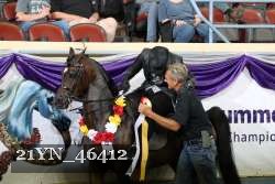 21YN_46412 thumbnail