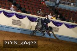 21YN_46422 thumbnail