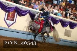 21YN_46543 thumbnail