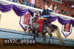 21YN_46544 thumbnail