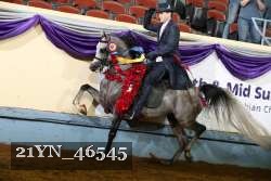 21YN_46545 thumbnail