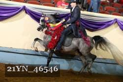 21YN_46546 thumbnail