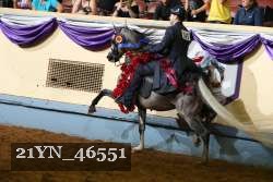 21YN_46551 thumbnail