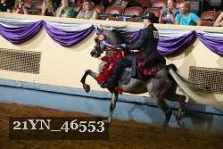 21YN_46553 thumbnail