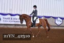 21YN_42310 thumbnail