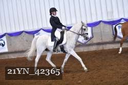 21YN_42365 thumbnail