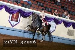 21YN_32026 thumbnail