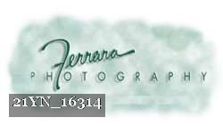 21YN_16314 thumbnail