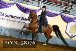 21YN_58176 thumbnail