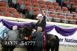 21YN_54777 thumbnail